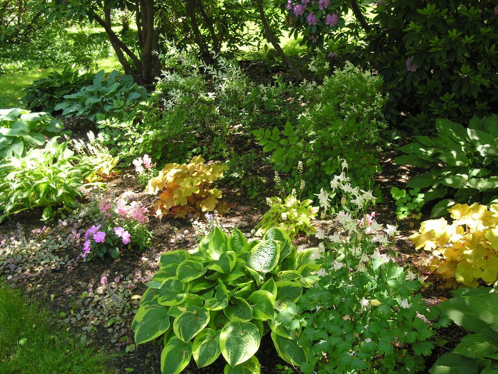 Delano Homestead Bed And Breakfast Fairhaven Extérieur photo
